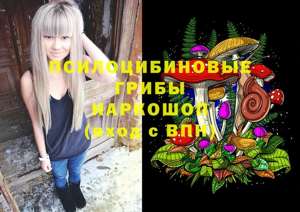 гашик Покачи
