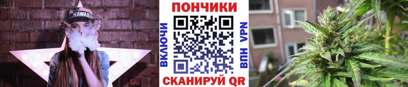 дарнет шоп  Усть-Джегута  Канабис планчик 